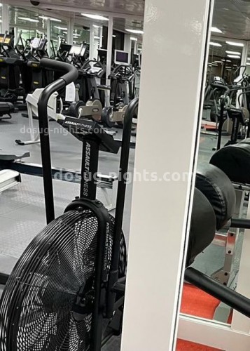 Стефания, Г. Кызыл